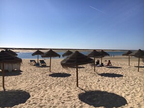 Une plage avec des parasols en chaume et des chaises longues, un rivage sablonneux et un ciel dégagé.