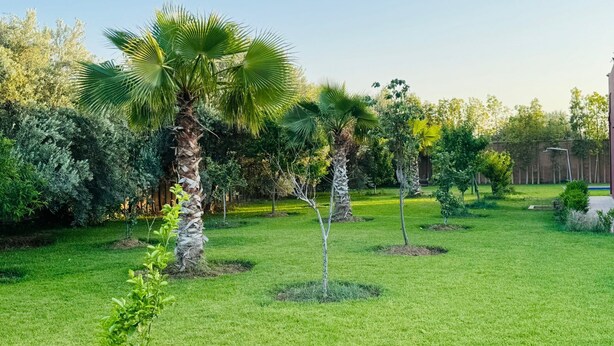 A well-maintained garden with various trees and shrubs, a clear sky, and a wooden fence in the background. - Villa Salah (Marrakech)