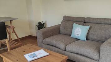 Fernseher, BĂŒcher