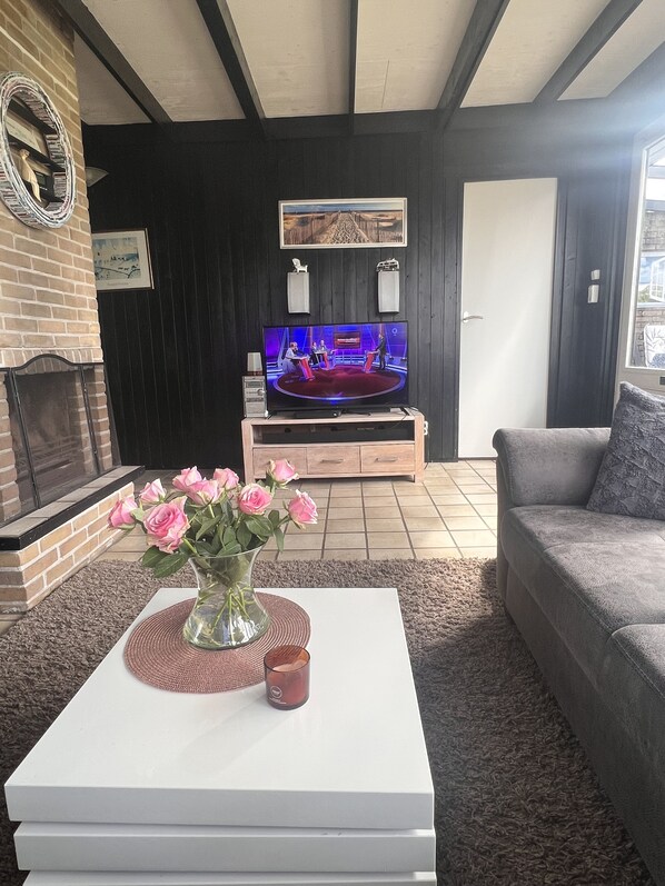 TV connectée, cheminée, lecteur de DVD, livres