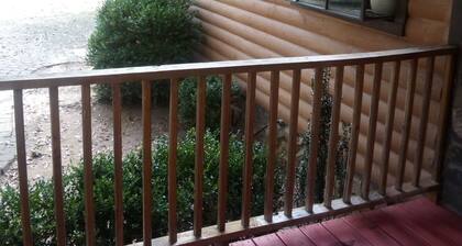 SINGLE FAMILY CABIN FOR EVENTS, VACATION RENTAL STAYS, 0.1 miles LAKE HARTWELL