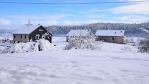 Paisaje rural con casas y árboles cubiertos de nieve.