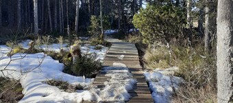 Chalet with fireplace (wood supplied) sleeps 10 (discount for stays of 3 nights or more)