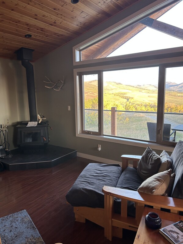 Smart TV, fireplace, DVD player