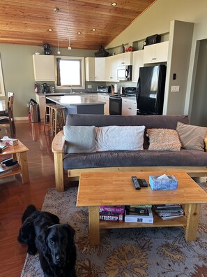 Smart TV, fireplace, DVD player