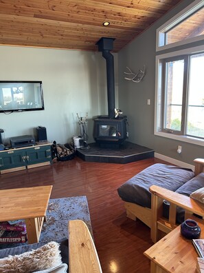 Smart TV, fireplace, DVD player