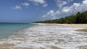 Chaises longues, serviettes de plage