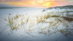 Ein Strand mit Sand und Gras, im Hintergrund ein Sonnenuntergang.