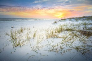 A beach with sand and grass, and a sunset in the background.