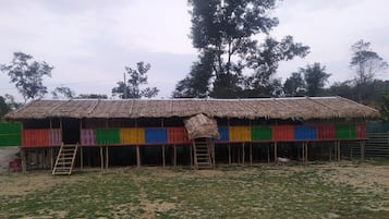 Imagen general