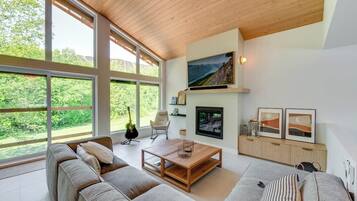 Televisión, chimenea y estéreo