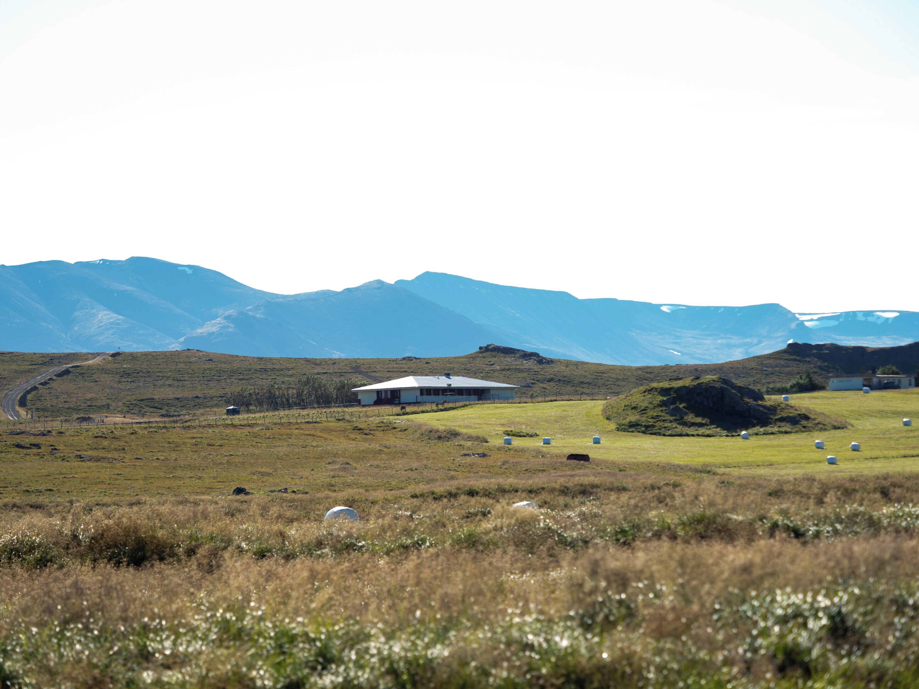 Un paisaje rural con una construcción blanca, un camino de tierra y ovejas dispersas.
