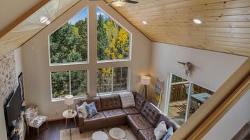 Smart TV, fireplace, books