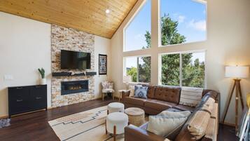 Smart TV, fireplace, books