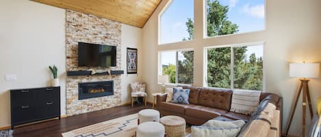 Smart TV, fireplace, books