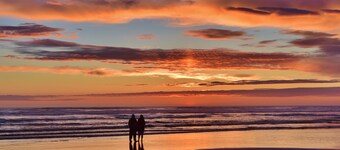 Warm Cottage w/ hot tub - across from the ocean and Damon Point