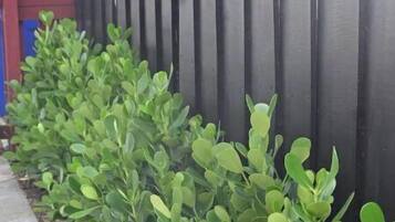 A black wooden fence with a row of green shrubs in front.