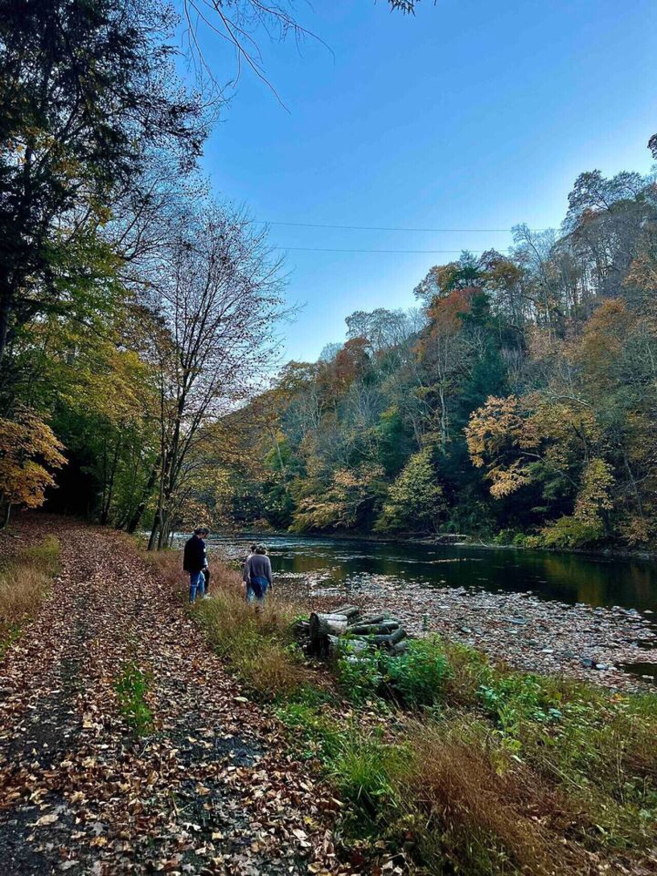 A pathway leading to a river surrounded by trees with autumn foliage.