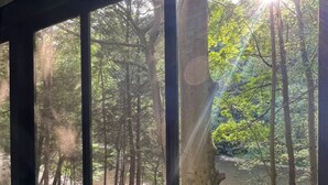 A room with large windows offering a view of a forested area with a river.