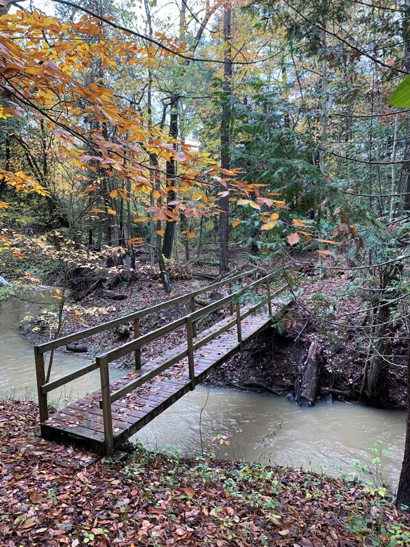 Un pont en bois enjambant un ruisseau boueux, dans une zone boisée parsemée de feuilles d’automne.
