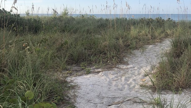 Nær stranden, solsenger og strandhåndklær