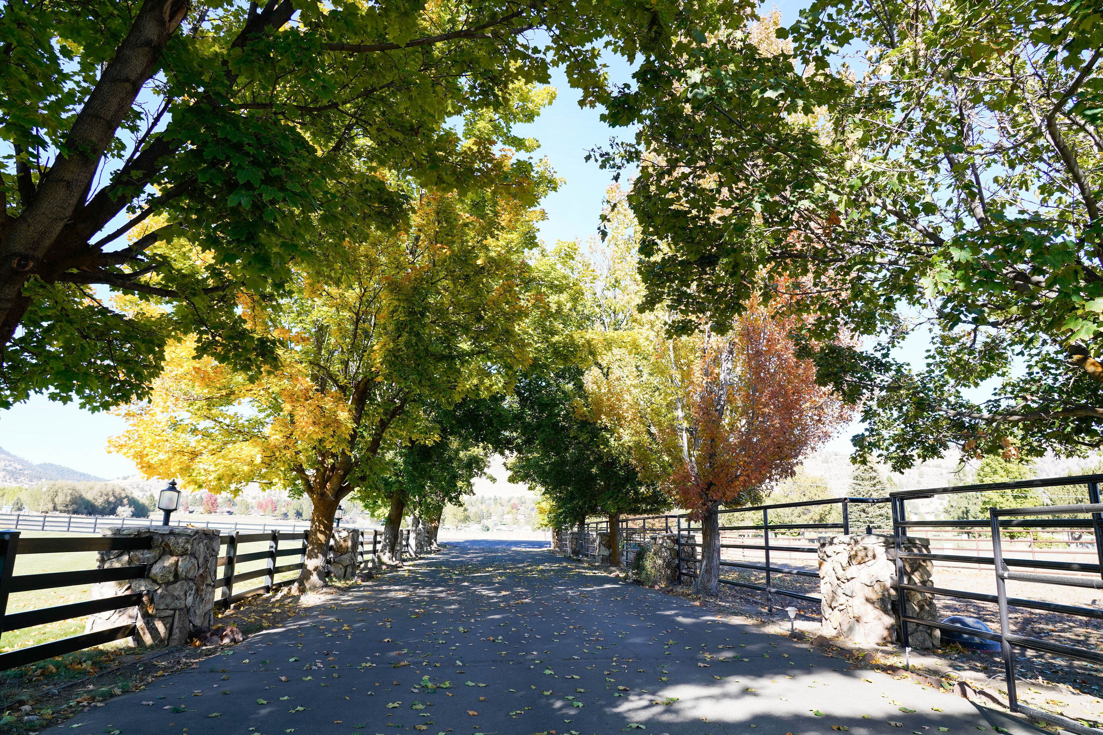 Un chemin pavé bordé d’arbres et d’un mur de pierres, qui mène à une zone délimitée par une clôture.