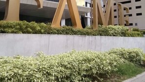 A large outdoor sign with the letters "FAME" in gold, surrounded by greenery.
