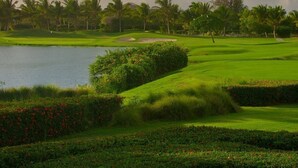 Campo de golf con un cuerpo de agua, palmeras y césped bien cuidado.