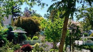 A garden with a white picket fence, a gazebo, and a sign for 'BRITT BUNGALOW'. - Spa Like Stay at the Award Winning Britt Bungalow in the Heart of Jacksonville (Jacksonville)