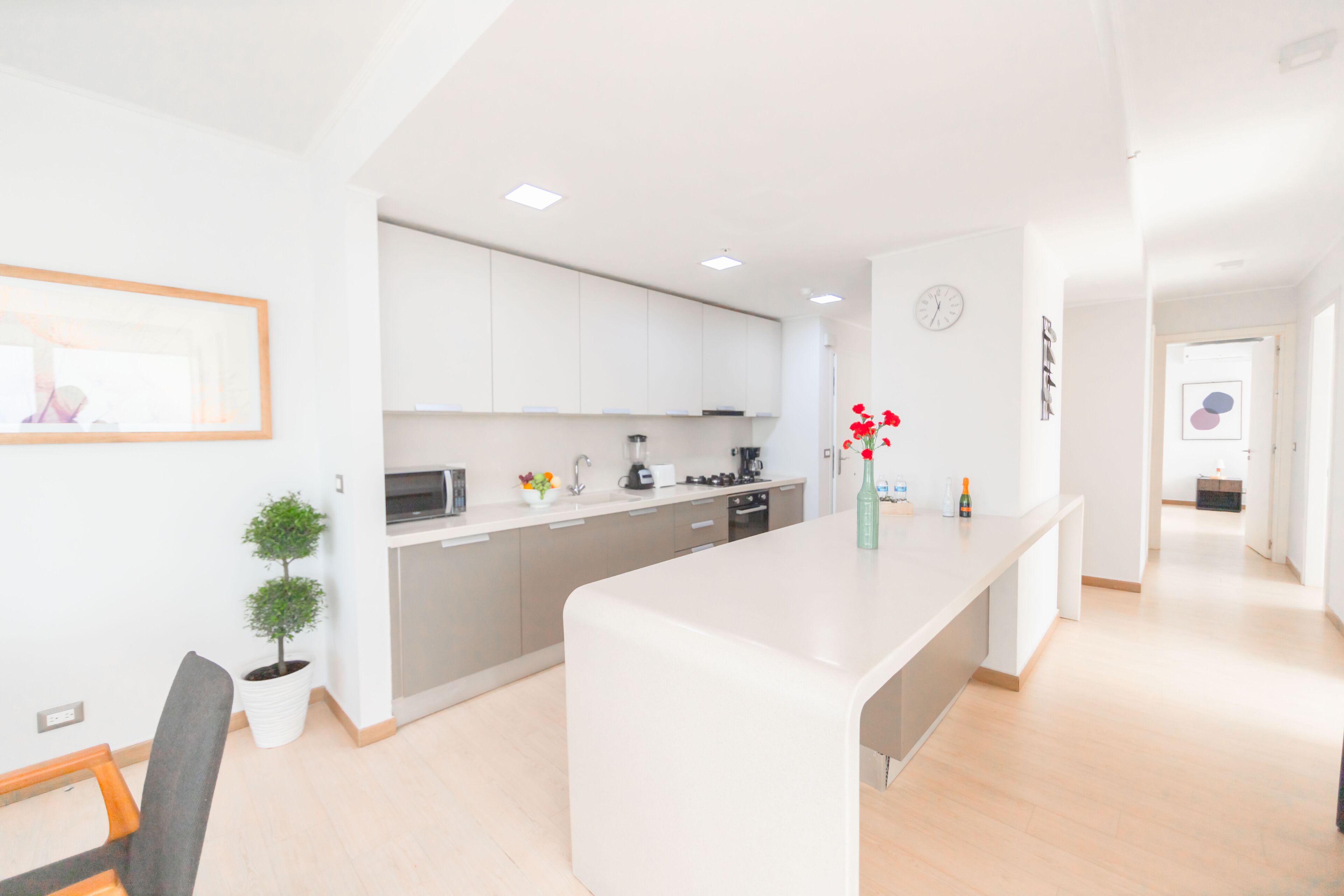 Une cuisine moderne avec des meubles blancs, un îlot central et une petite plante en pot.