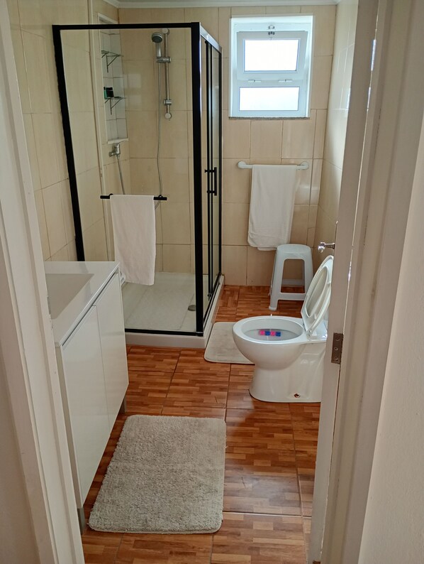 A bathroom with a glass-enclosed shower, a toilet, and a sink. - Great place (Arrifes)