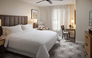 1 camera, accesso a Internet