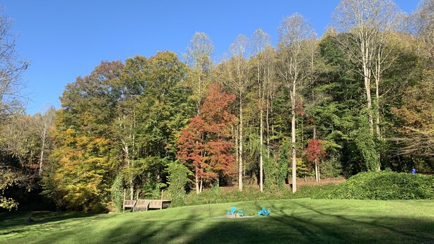 A grassy area with trees and a wooden deck. - Gorgeous Stays (Bryson City)