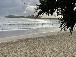 On the beach, beach towels - Beach Boutique, pet friendly, right on Maroochydore River (Maroochydore)