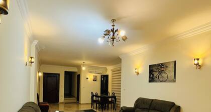 Modern entire apartment in downtown Sheikh Zayed