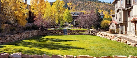 Enceinte de l’hébergement