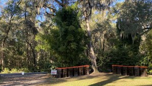 A row of trash bins lined up against a tree in a wooded area. - Rainbow River Bungalow K (Dunnellon)