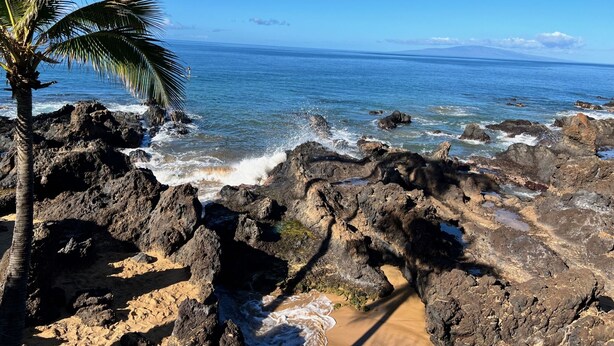 Una costa rocosa con una palmera, cielo azul despejado y olas del océano.