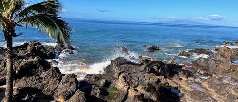 Playa en los alrededores, camastros y toallas de playa