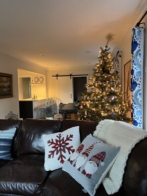 Smart TV, videojuegos, reproductor de DVD y libros 