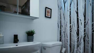 Shower, eco-friendly toiletries, hair dryer, towels