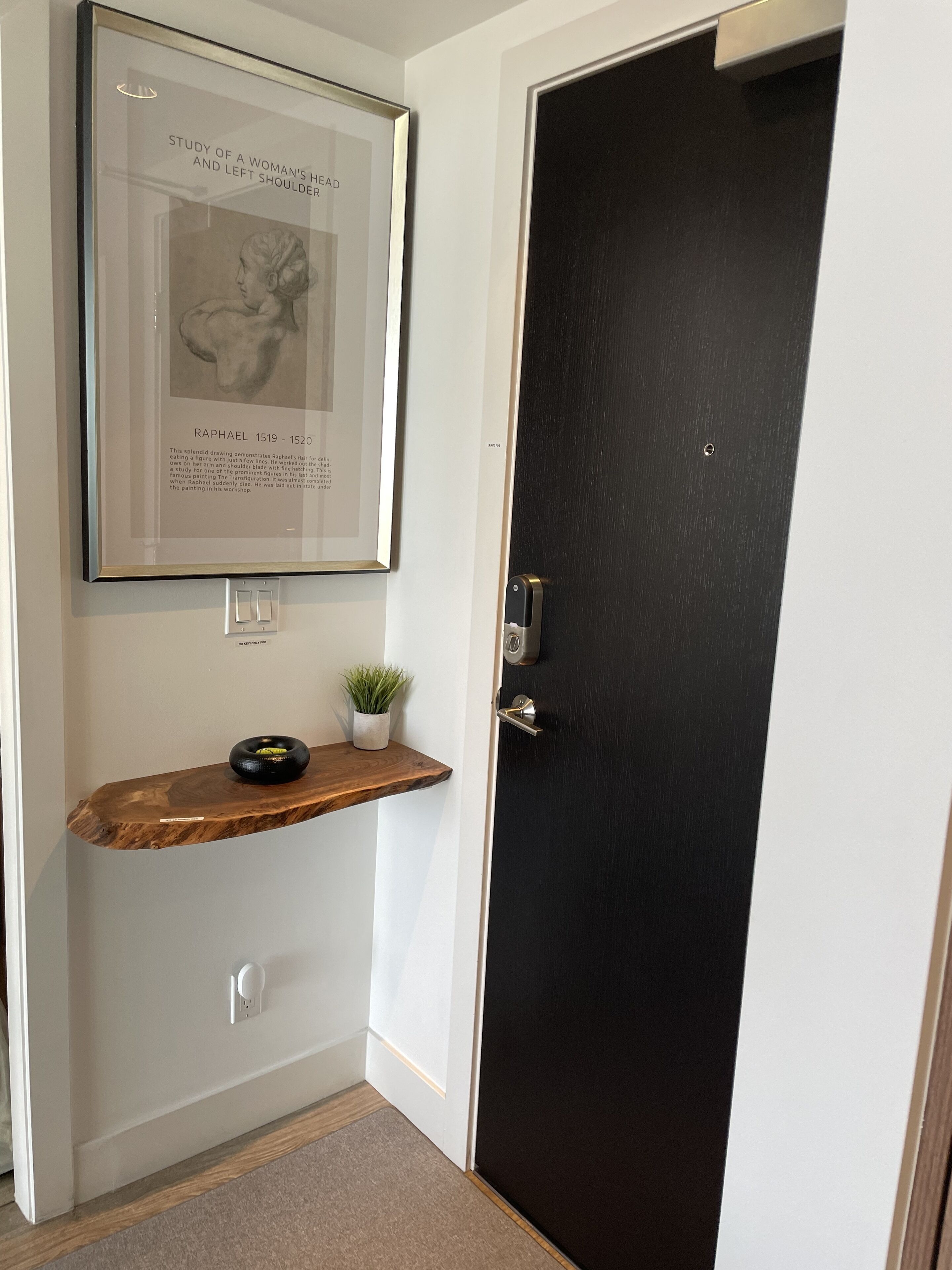 A hallway with a framed artwork, a small shelf with a plant, and a black door.