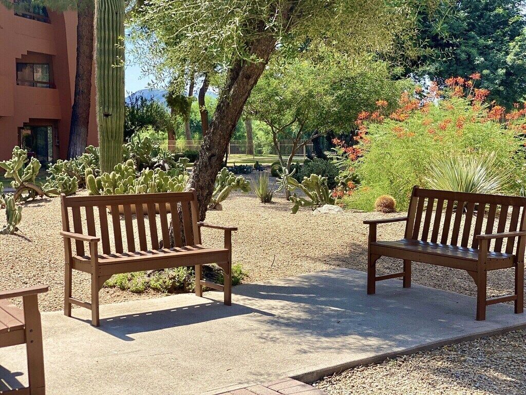 A garden with two wooden benches, a cactus, and a variety of plants.