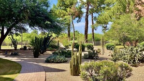 Een tuin met een verhard pad, cactussen en bomen.