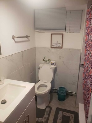 Baño con inodoro, lavamanos y zona de ducha.
