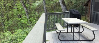 Smoky Mt. Views - Hot Tub - Easy Access Cabin - Private - Dog Friendly - Fenced