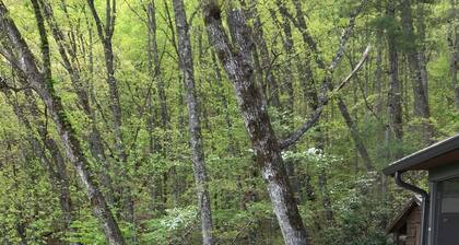 Smoky Mt. Views - Hot Tub - Easy Access Cabin - Private - Dog Friendly - Fenced