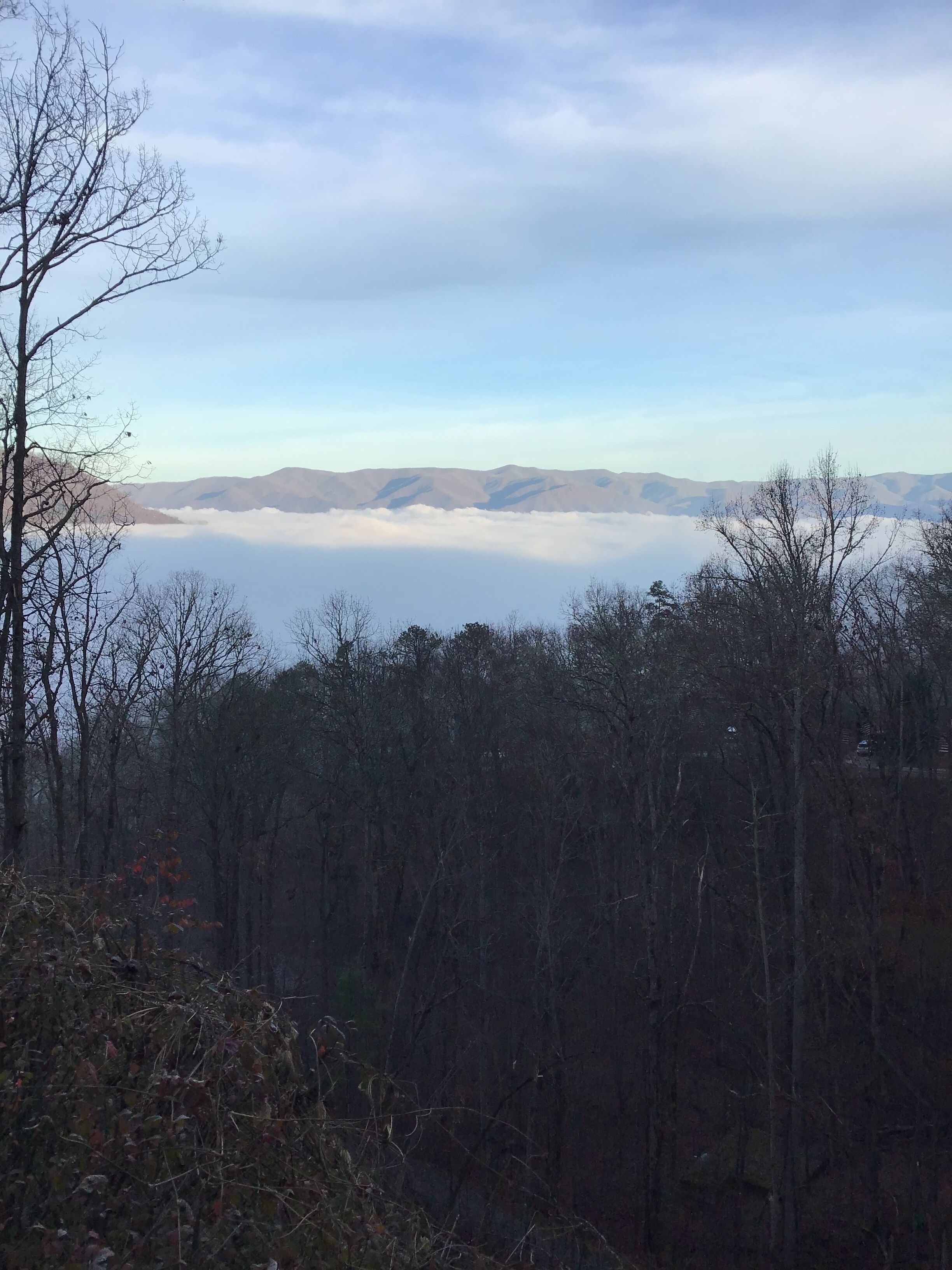 Un paysage boisé offrant une vue sur des montagnes lointaines et un plan d’eau.