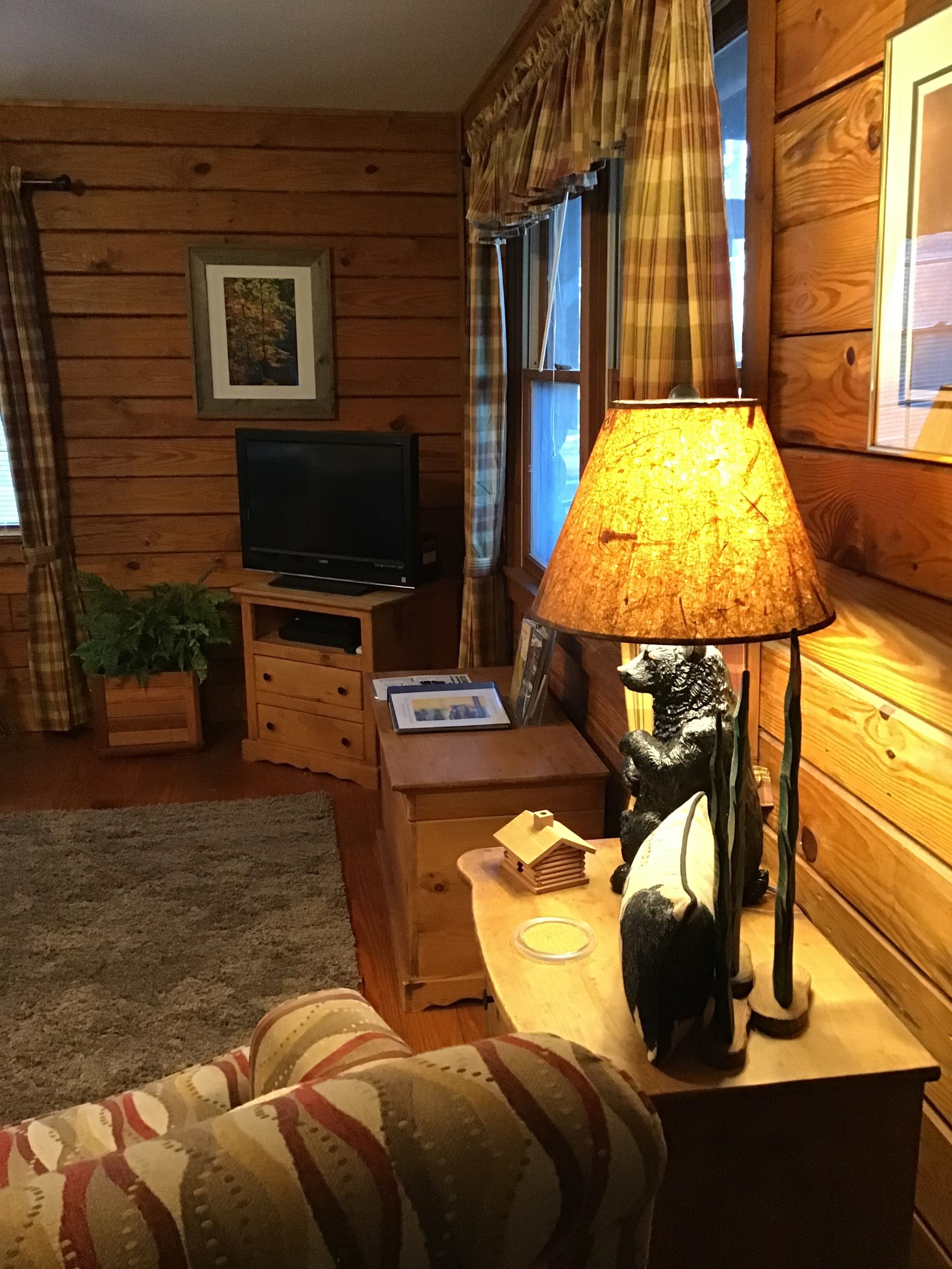 TV connectée, cheminée, lecteur de DVD, livres