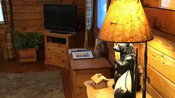 Älytelevisio, takka, DVD-soitin, kirjoja